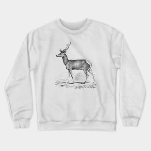 Deer Black and White Illustration Crewneck Sweatshirt